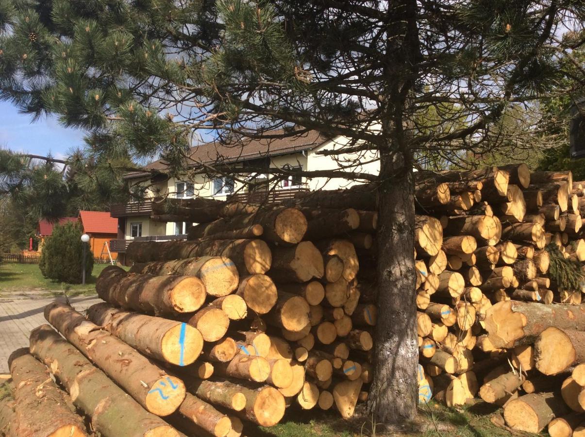Ferienwohnung Harzblick 1 Braunlage Eksteriør billede