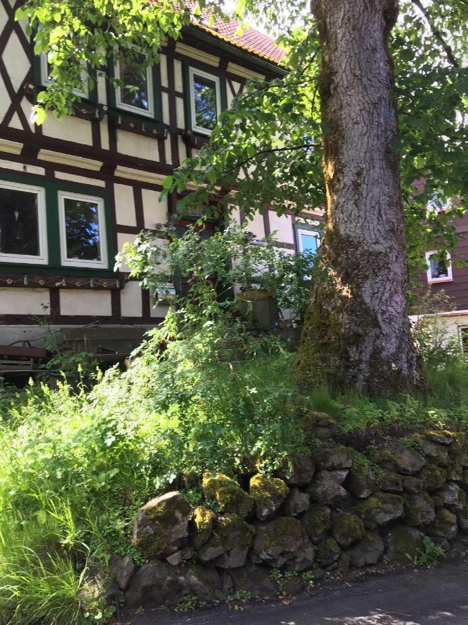 Ferienwohnung Harzblick 1 Braunlage Eksteriør billede
