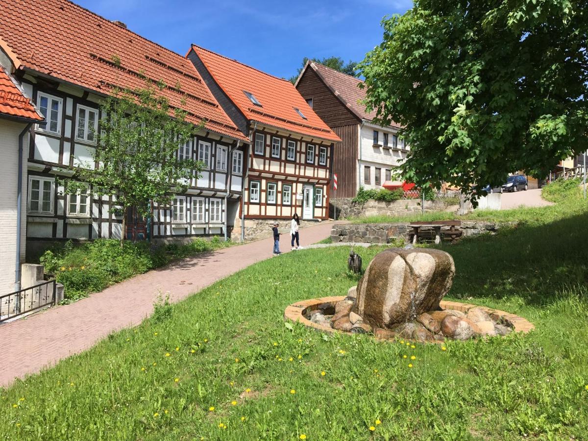 Ferienwohnung Harzblick 1 Braunlage Eksteriør billede